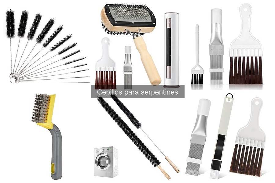 Alternativas efectivas a cepillos para serpentines